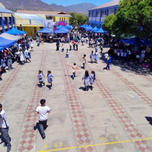 Celebramos la tradicional Pulgatón 2025